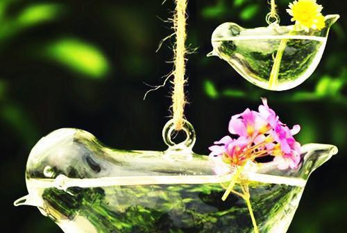 季浅白傅沉舟小说在线阅读 季浅白傅沉舟最新章节目录