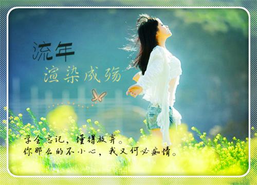 寻你寻不到归期：全文+后续（姜昭意盛西辞）最新章节列表_寻你寻不到归期：全文+后续（姜昭意盛西辞）寻你寻不到归期：全文+后续在线阅读
