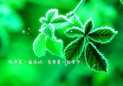 轩辕翊陆依霜全文阅读最新章节_轩辕翊陆依霜全文阅读