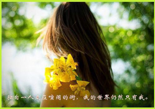 晨鸣免费小说 晨鸣全文阅读目录