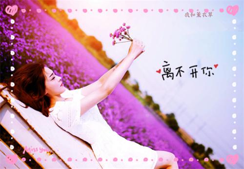 楚一杭江桂音小说 楚一杭江桂音免费章节阅读