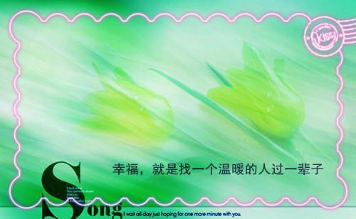 傅瑶兰苕沈修小说目录 傅瑶兰苕沈修完整免费版阅读