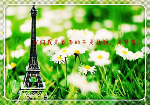 夫君的第99次攻略，我和娘亲在劫难逃小说(裴云松蒋梦欣)章节阅读