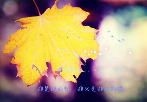 虞长宁薛道衡小说全篇完整在线阅读（入蛊相思未肯休）热门章节列表