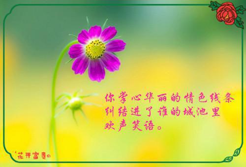 林悦秦梦琪免费阅读目录 林悦秦梦琪小说全文