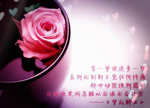 阮雾梨的小说人面桃花长相忆：结局+番外必读文必读阮雾梨闻砚辞全文在线阅读