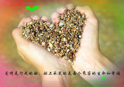 明昭不归（楚婉昭谢明棠）最新推荐_最新推荐明昭不归（楚婉昭谢明棠）