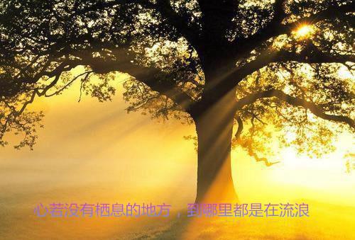 独家莫婉瑜薄司臣：结局+番外评价五颗星 （莫婉瑜薄司臣）TXT免费版阅读