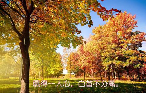 陆彦霖姜悦苏若菡全文免费 陆彦霖姜悦苏若菡在线阅读