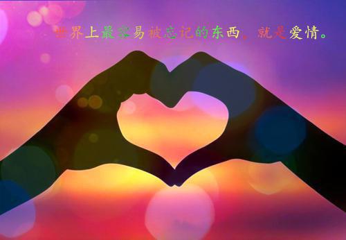 长乐褚砚尘是什么小说 长乐褚砚尘全本免费阅读