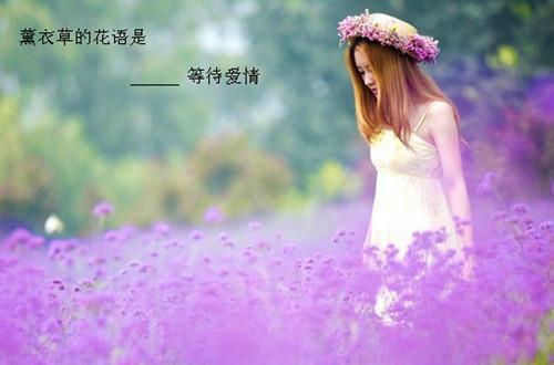 燕落平间宋承安盛云间最新章节在线阅读