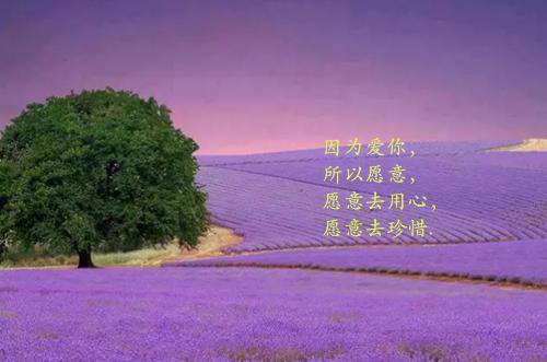 江俞闻铮小说在线阅读 江俞闻铮最新章节目录