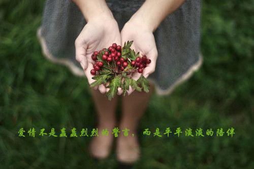 完美人生,重启2006版(陈江河徐芷惜)最新章节_完美人生,重启2006版全文阅读