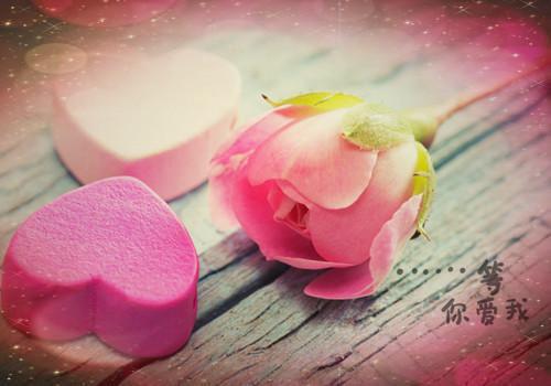 (抖音小说)许知晚顾沉白小说全文阅读免费