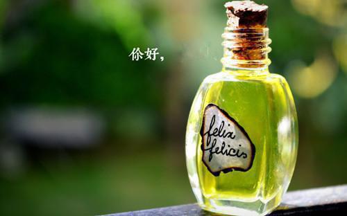 主角是林瓷林芸的小说免费阅读全文大结局