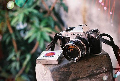 高嘉仪何媛免费阅读小说 高嘉仪何媛第3章