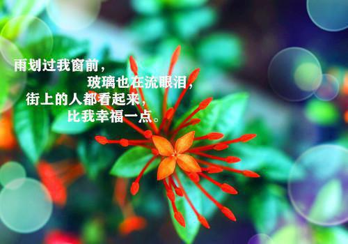 沈知意谢永年什么小说 沈知意谢永年全文免费阅读