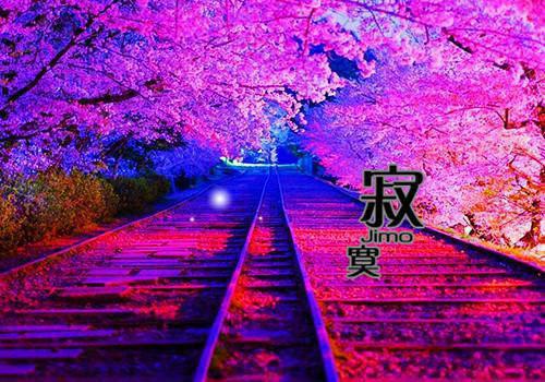 独家宋时锦裴淮川小说(宋时锦裴淮川)（宋时锦裴淮川）电子书畅享阅读