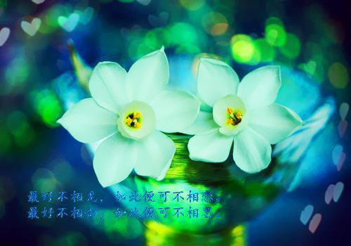 许沐宸厉惜颜小说免费试读 许沐宸厉惜颜第3章