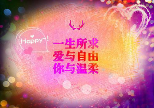 顾辞谢音清小说 顾辞谢音清免费章节阅读