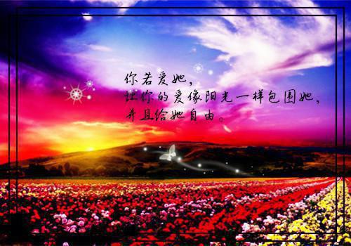 许她一世倾城：结局+番外：全文+后续+结局（林浅浅夜司寒）最新章节列表_许她一世倾城：结局+番外（林浅浅夜司寒）许她一世倾城：结局+番外：全文+后续+结局在线阅读