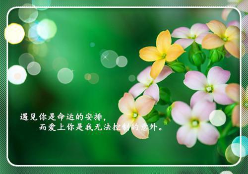 被娶富婆的校草羞辱，没想到我是富婆老太爷修改首发小说 秦川秦如烟在线阅读