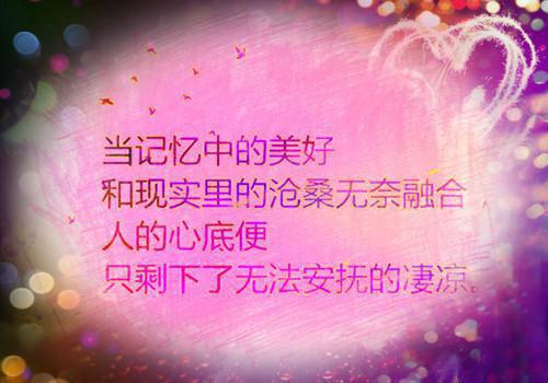 十年一梦，再获新生免费读全文 宋时谨孟见云小说无弹窗