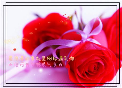 关楚楚梁芹免费全文无弹窗 高考前，手撕重生归来的假千金小说在线阅读