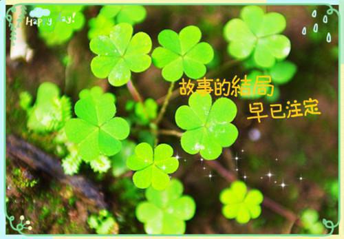 陈衍高阳小说免费阅读最新 我让高阳扶墙，高阳为我痴狂完整版