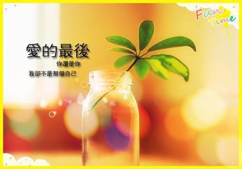 (番外)+(全文)人面桃花长相忆：全文无删减+番外免费下载阅读_(阮雾梨闻砚辞阮见微)人面桃花长相忆：全文无删减+番外最新章节列表_笔趣阁（阮雾梨闻砚辞阮见微）