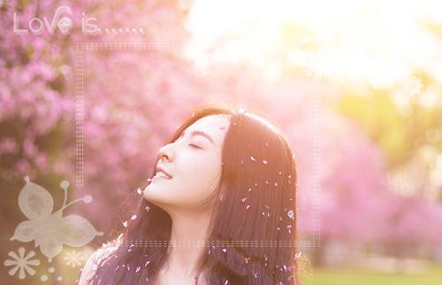 苏梦遥傅奕秋小说在线阅读 苏梦遥傅奕秋最新章节目录