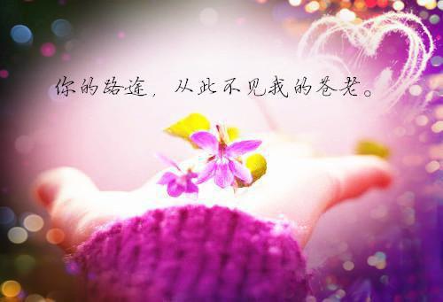 霍沉洲的小说此去经年人未还全面完结沈青禾霍沉洲全文在线阅读