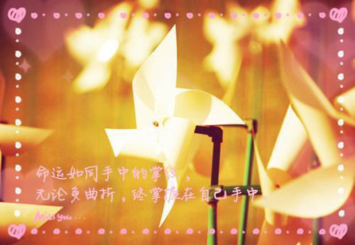 妹妹母仪天下后，全家都悔疯了：结局+完整版小说 妹妹母仪天下后，全家都悔疯了：结局+完整版佚名