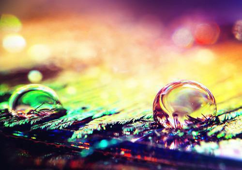 圣女傅司宴小说全文 圣女傅司宴小说免费阅读大结局