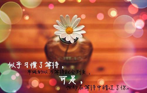 佛女妻子要把儿子的身体换给白月光的亡女郑欣然陆寻羽全文阅读(完整版)