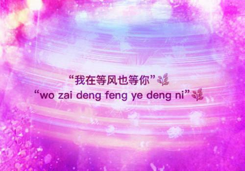 陆青李兆是什么小说 陆青李兆全本免费阅读