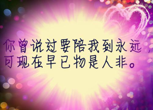 裴云祉赵羲禾小说最新章节 裴云祉赵羲禾免费阅读