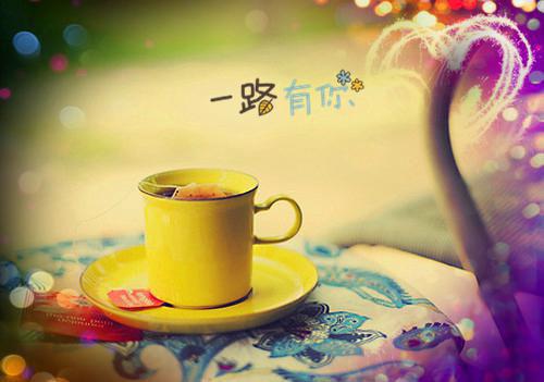 许思梨沈辞越（余温散尽时许思梨：结局+番外）全文免费阅读无弹窗大结局_(许思梨沈辞越)最新章节列表_笔趣阁（余温散尽时许思梨：结局+番外）