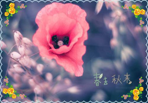 解靳淮许清晚免费阅读目录 解靳淮许清晚小说全文