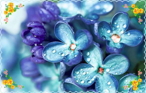 收你钱财，替你留后陈凡贺明彦白灵免费章节试读