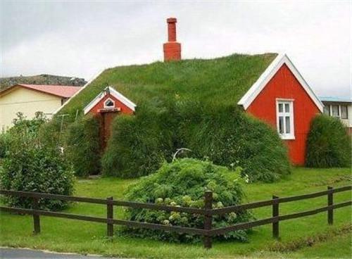 离家三年，老婆把女儿关进玻璃水箱现场拍卖黎娜苏梨全文免费阅读(已完结)