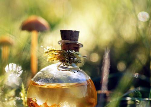 老夫年八十，来了宠妻系统？最新章节列表_老夫年八十，来了宠妻系统？全文免费阅读(沈幼卿江城+)