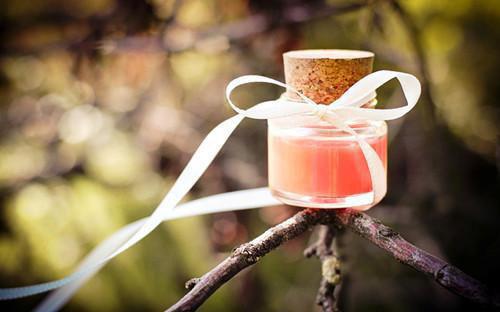 纸鹤藏意,遗憾满冬最新章节 宋知意周鹤之在线阅读