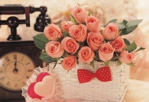 宋远文繁免费全文无弹窗 在赈灾栏目上，未婚妻穿着婚纱和初恋告白小说在线阅读