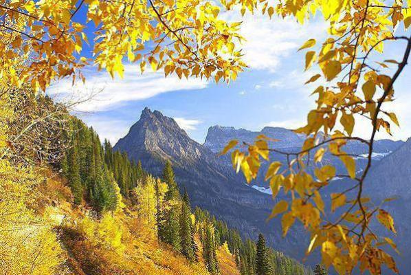 我成为失信人员后,贫困生急了梁语苏念最新章节在线阅读