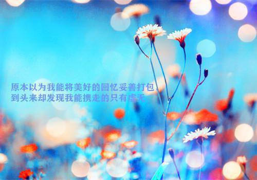 云夙苒晏玦小说全文阅读 云夙苒晏玦第2章