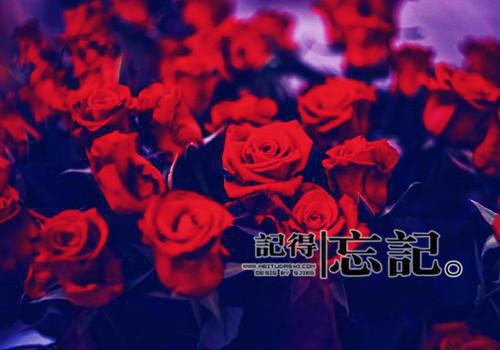 (番外)+(全文)人面桃花长相忆：+后续+番外（阮雾梨闻砚辞）全文免费阅读无弹窗大结局_(人面桃花长相忆：+后续+番外)最新章节列表_笔趣阁（阮雾梨闻砚辞）
