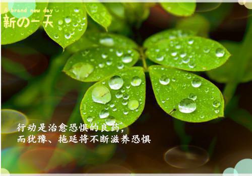 海鸟枝头免费阅读第5章 主角江蘅枝顾潮生