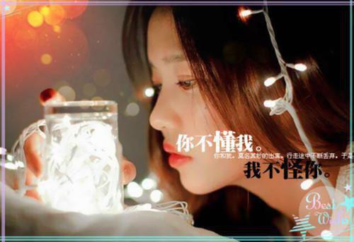 卫临川苏云归小说免费试读 卫临川苏云归