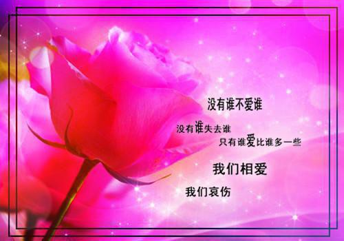 乔斯年叶轻语小说阅读 乔斯年叶轻语全文免费无广告